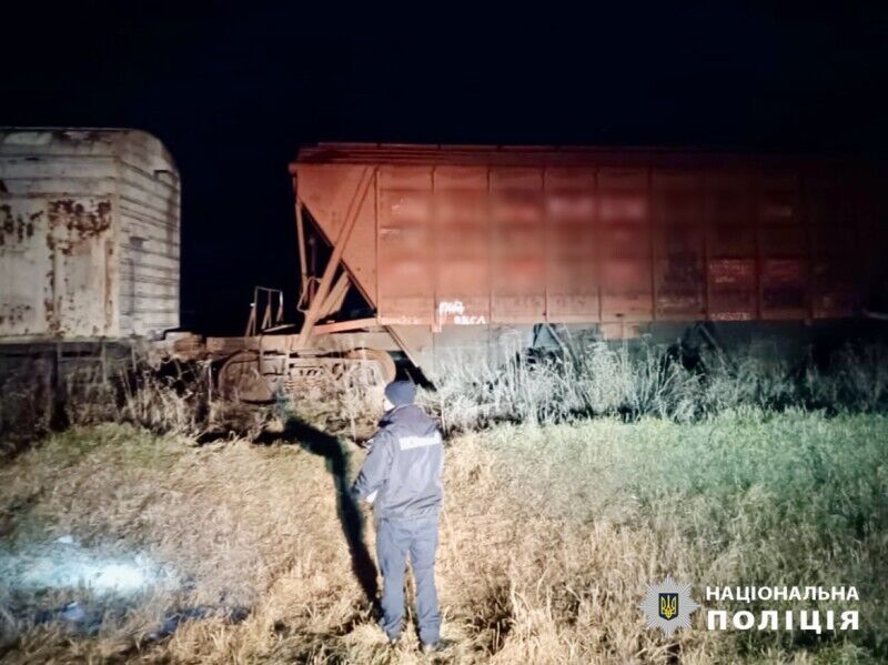   12- -   :  䳿 dqxikeidqxidtant