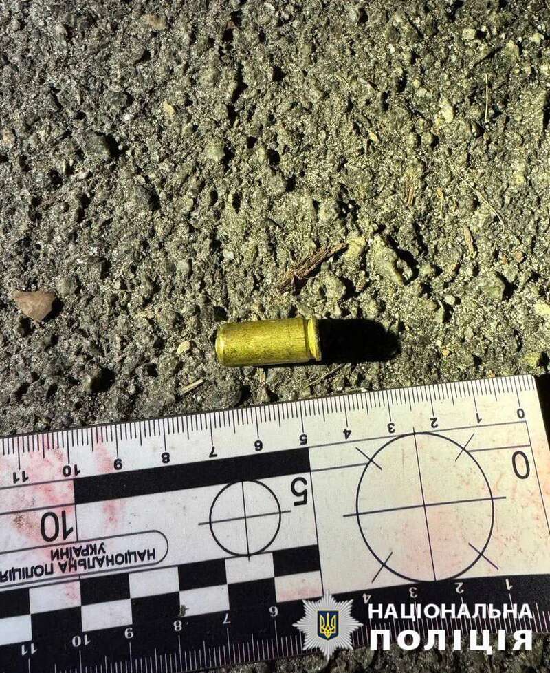 В Киеве конфликт между владельцами собак чуть не закончился убийством. Подробности дела и фото dqxikeidqxidqrant