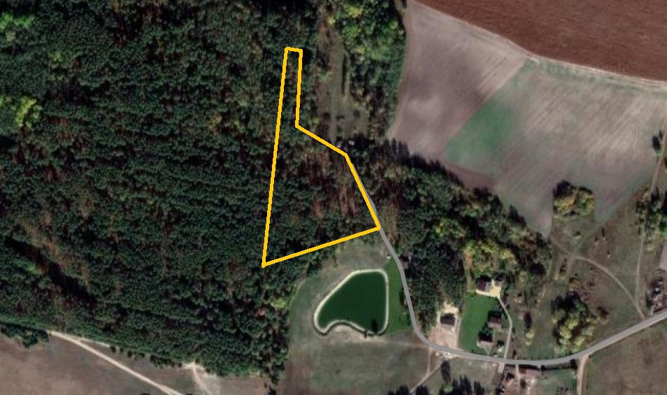        ,     « “”».       «» (     Deep Green Ukraine)