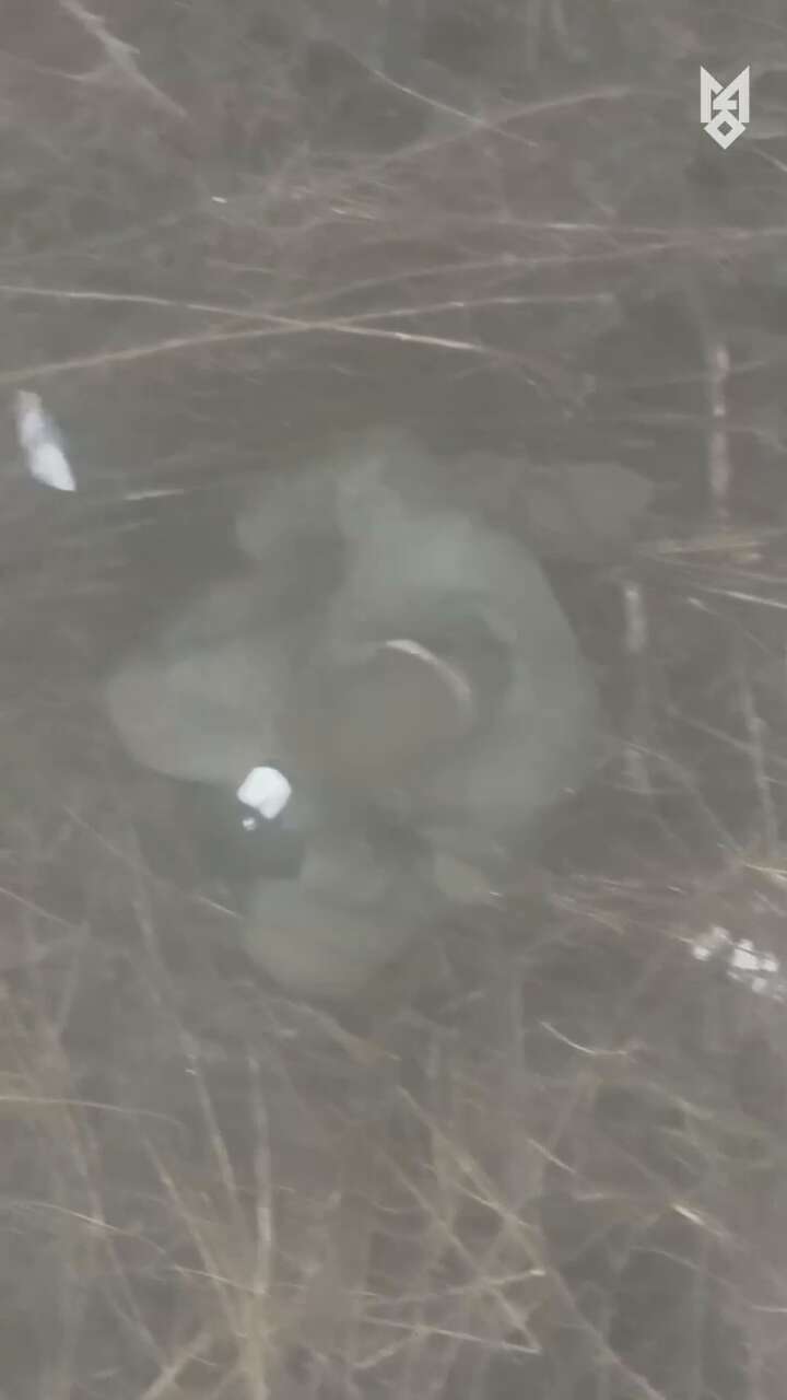 Left his weapon and followed the drone: SOF operators captured an occupier abandoned by Putin’s troops. Video dqxikeidqxidqrant