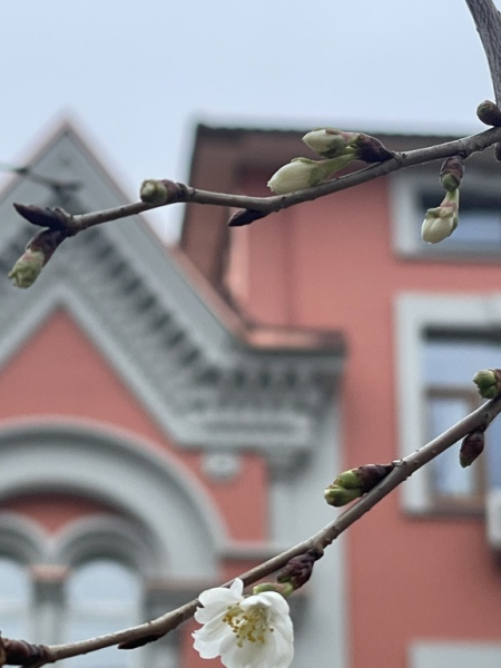 ,  ,     dqxikeidqxiqdxant