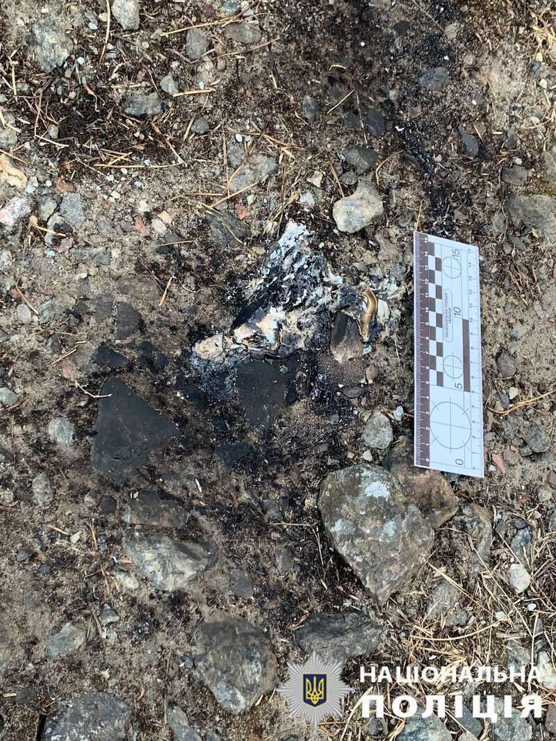 Підпалили авто ЗСУ та релейні шафи залізниці: у Києві судитимуть трьох зловмисників. Фото