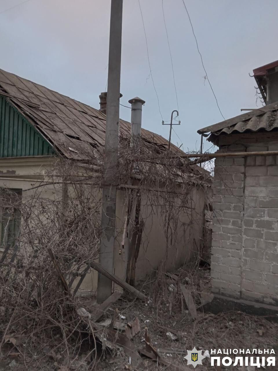     -         -  dqxikeidqxidqeant