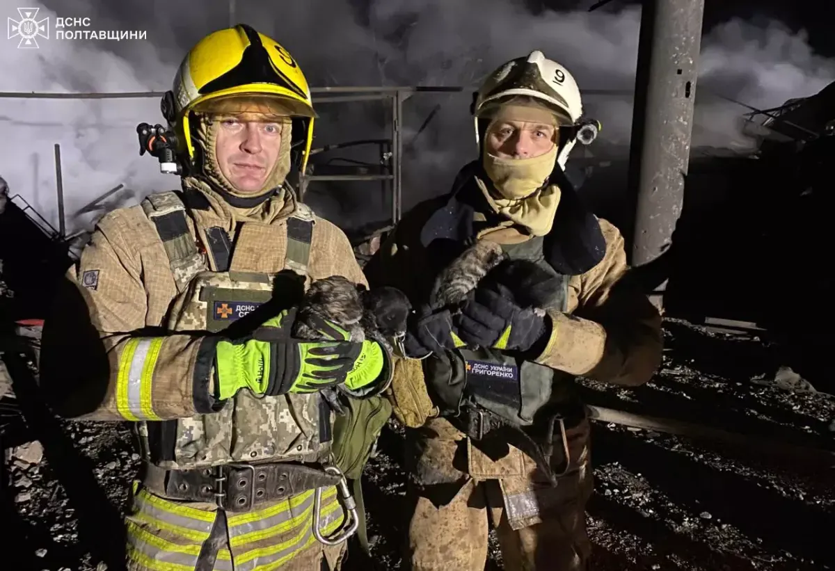 Image dqxikeidqxidqrant