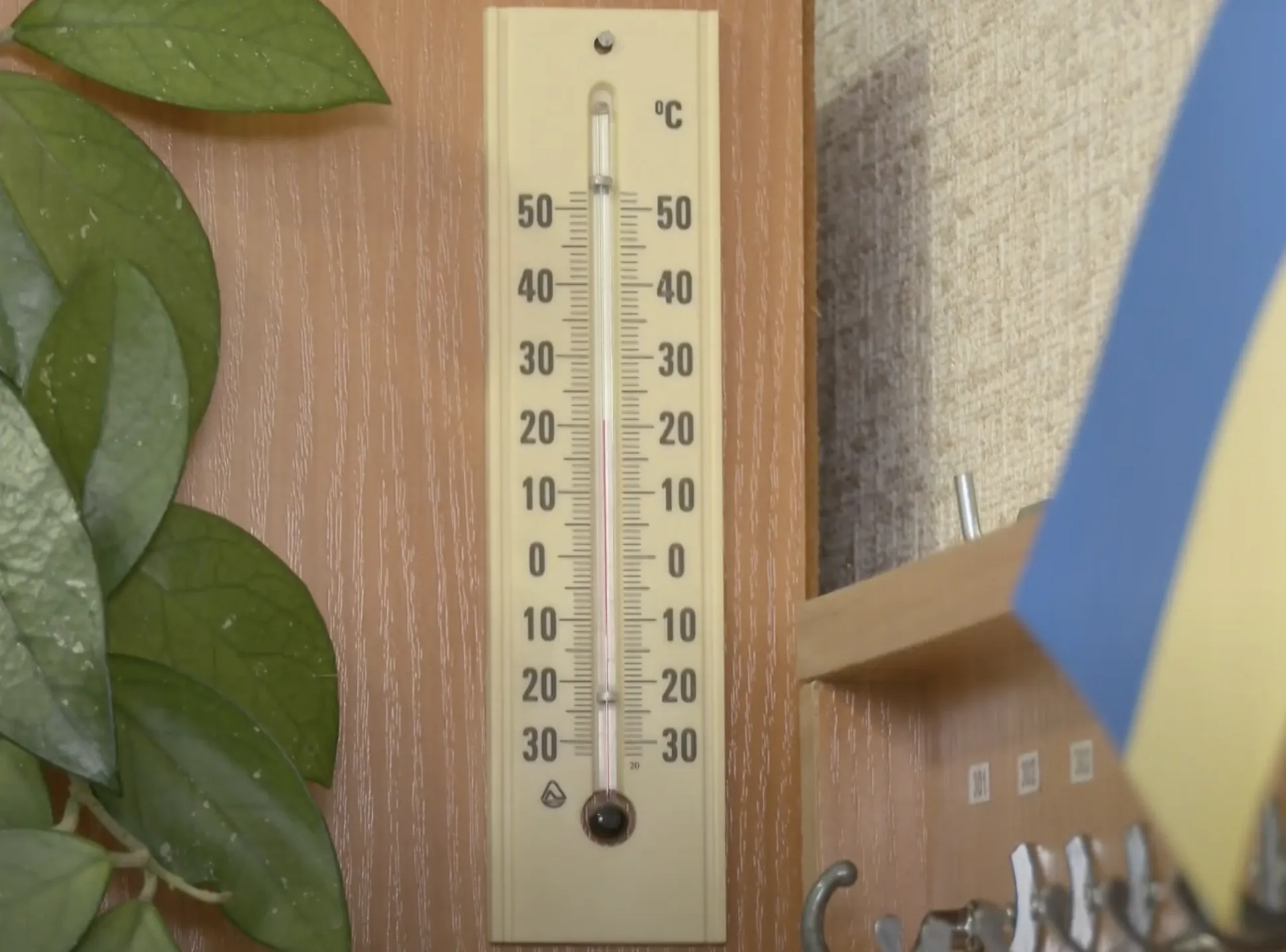 В лицее Ровно дети организовали dqxikeidqxidqeant