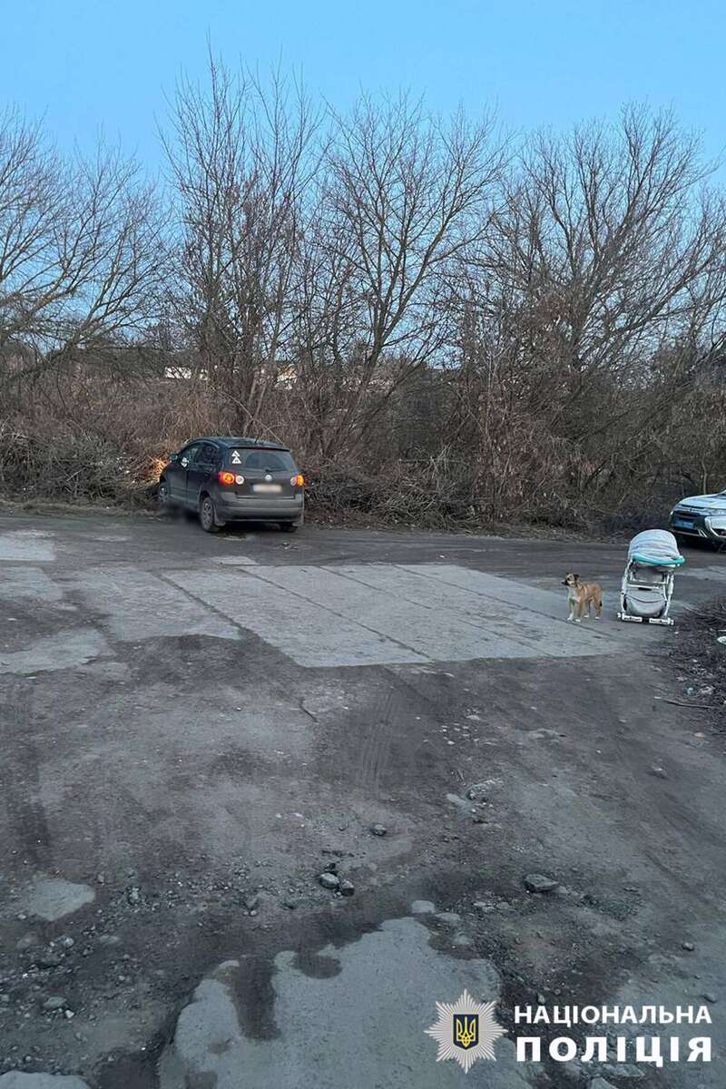         :     .   dqxikeidqxidqeant