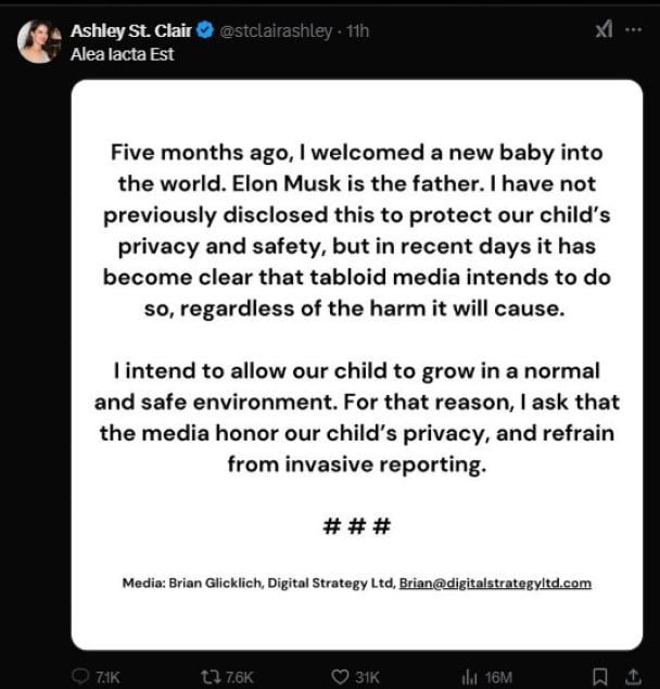 Эшли Сент Клер заявила о рождении ребёнка от Илона Маска / © dqxikeidqxidqrant