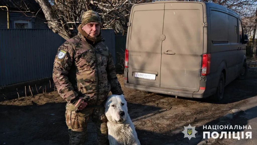 Из Покровска эвакуировали брошенного алабая и нашли ему новый дом dqxikeidqxidqrant