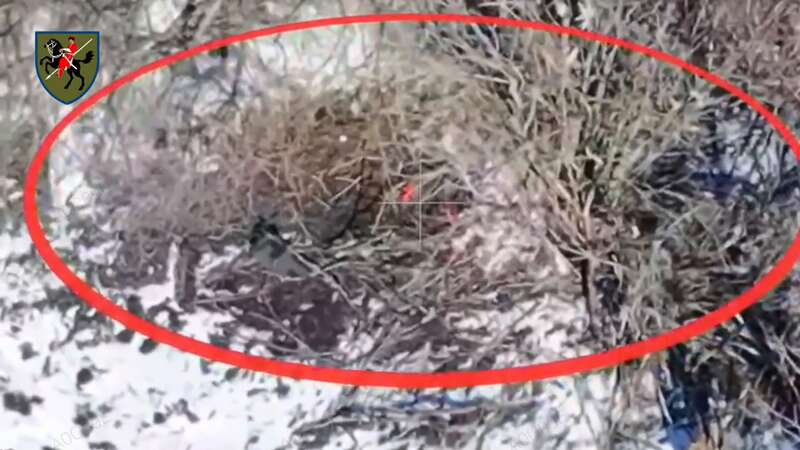 The warriors of the 110th Brigade forced the enemy to retreat from captured lines in the Novopavlivka direction. Video