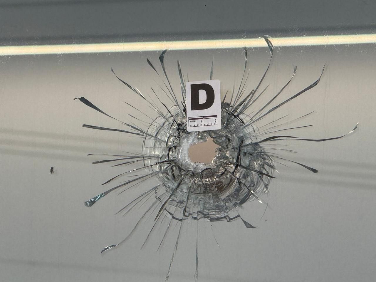 Следы от пуль, оставленные протестующими в знак памяти dqxikeidqxidqrant