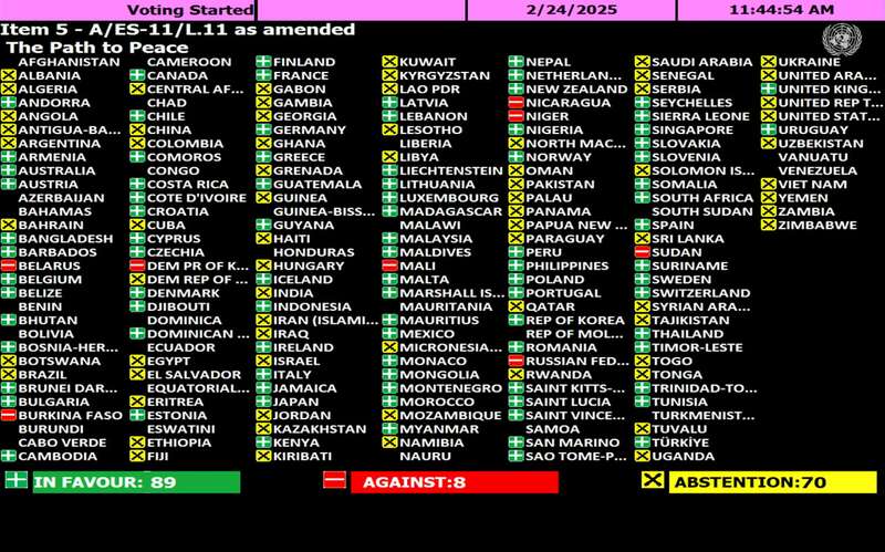 The UN General Assembly adopted a resolution on Ukraine. The USA and Russia voted against