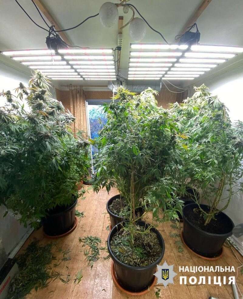       ,     :  dqxikeidqxiqdzant