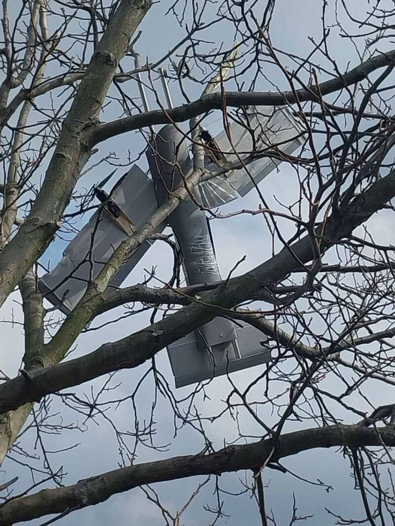 :  /   dqxikeidqxidqrant