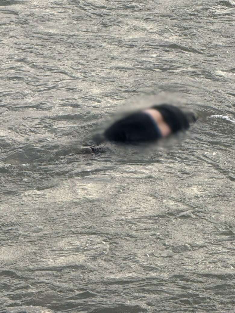 Пограничники обнаружили утопленника в Тисе dqxikeidqxidqrant