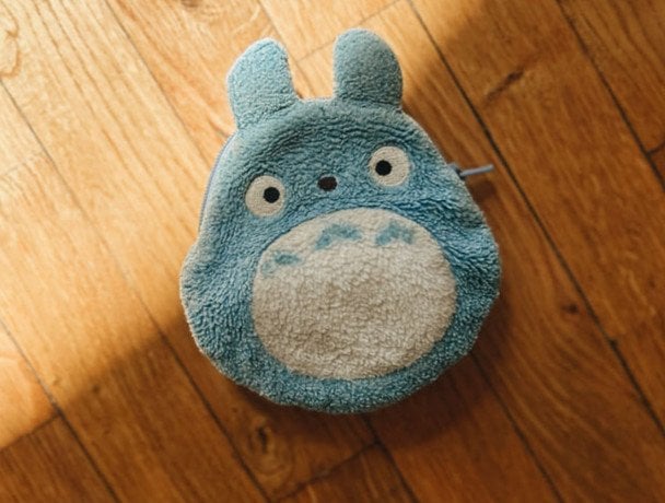 Незвичний гаманець Ольги Шиленко. Фото з її сторінки у Facebook dqxikeidqxiuuant