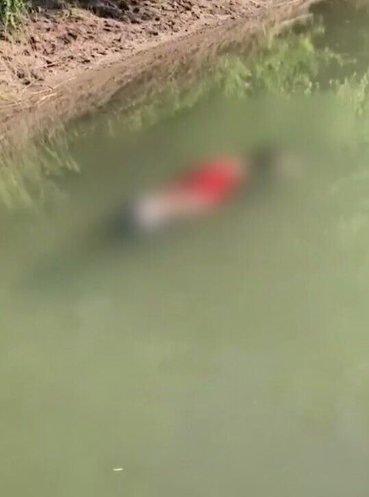  46- :      dqxikeidqxidqrant