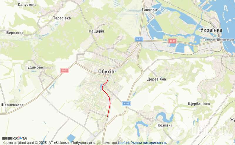 Авто виїхало на зустрічну смугу: на Київщині сталася жахлива ДТП, двоє загиблих. Фото dqxikeidqxidqeant