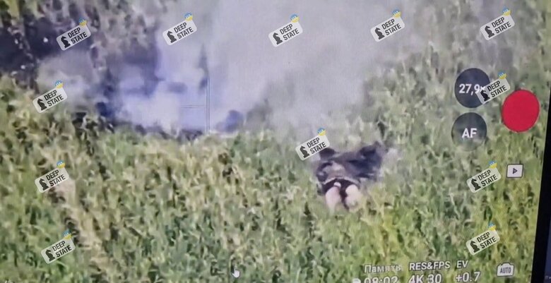 Destroyed Russian at the administrative border of the Dnipropetrovsk region dqxikeidqxidqrant