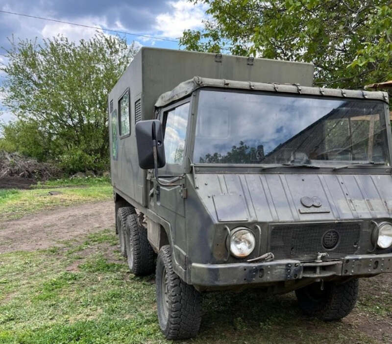   Pinzgauer   dqxikeidqxiqxrant