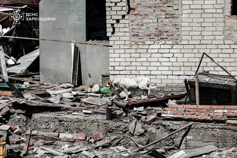 consequences of the Kharkiv shelling