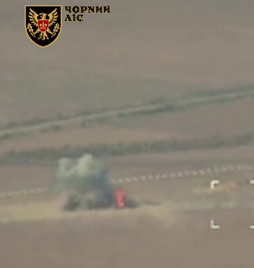 The scouts directed the strike dqxikeidqxidqrant