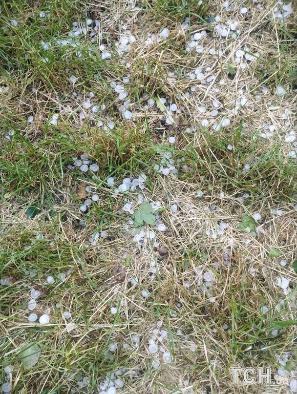      / ©  dqxikeidqxidqqant