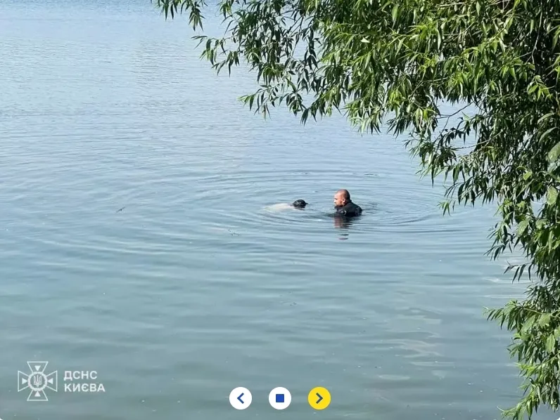          .  䳿   dqxikeidqxidqrant