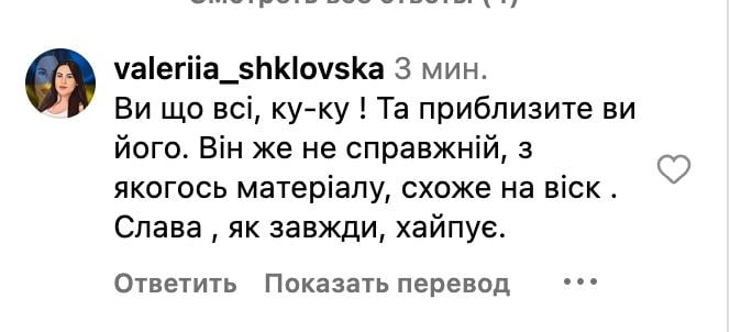 Фоловери Камінської засумнівалися в реальності того, що відбувається