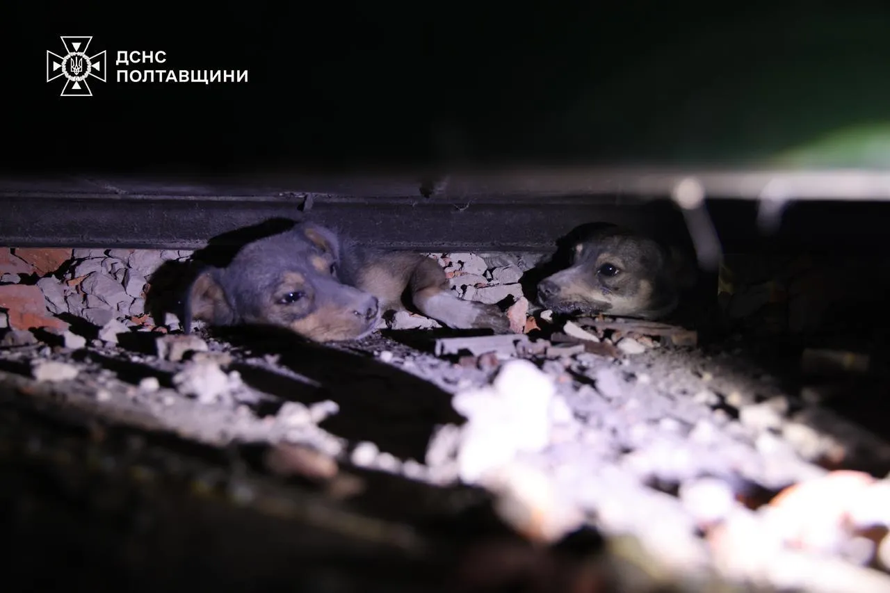 Росія масово атакувала всю Україну сотнями