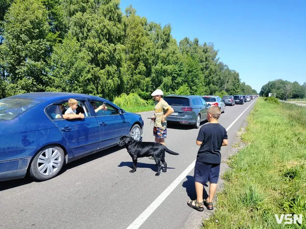 Дорогою на Світязь – кілометрові черги через перевірку документів: що там коїться dqxikeidqxidqeant