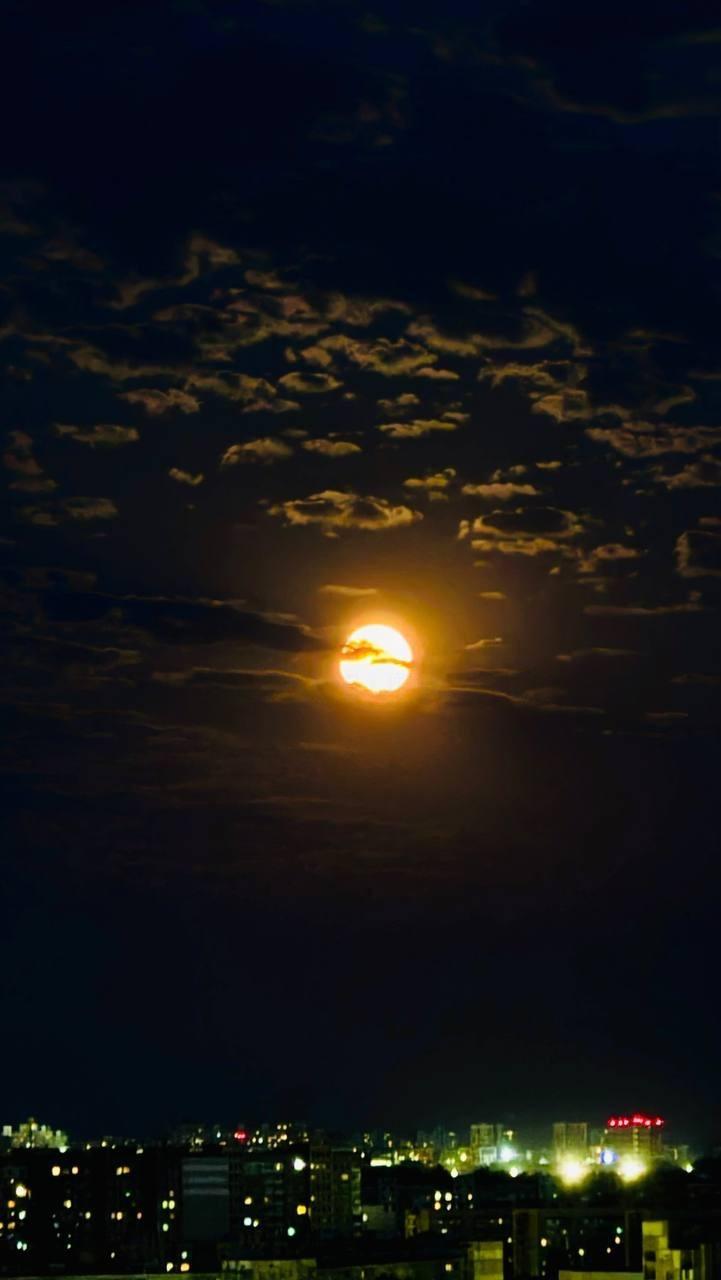    « »:    5 dqxikeidqxidqrant