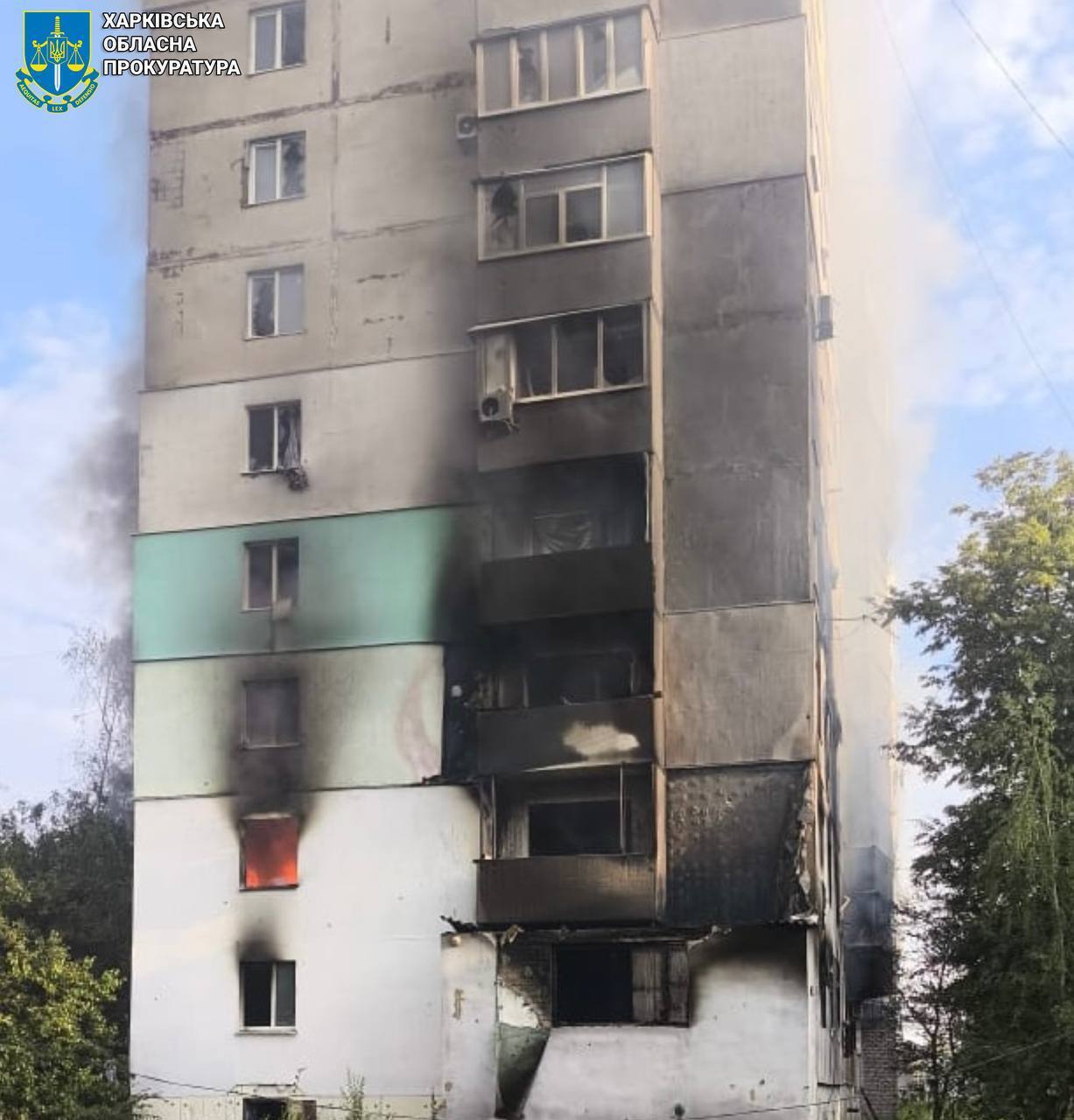   ’:    .  dqxikeidqxiqzhant