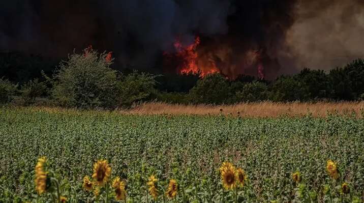   -     :      .  dqxikeidqxidqeant