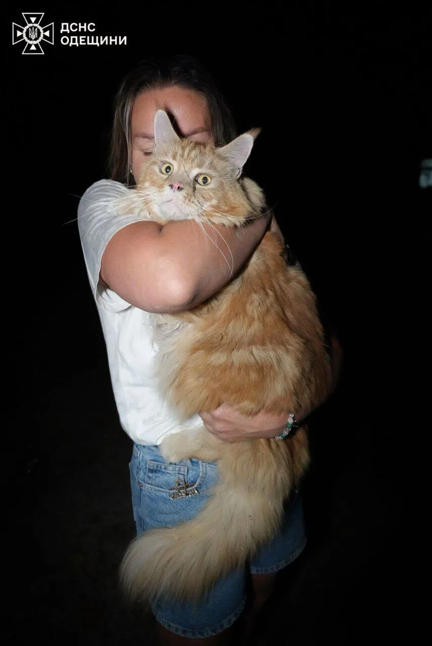 Атака Шахедів на Одесу