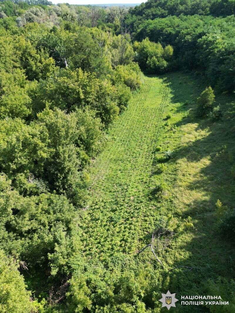 Операція  dqxikeidqxidqrant