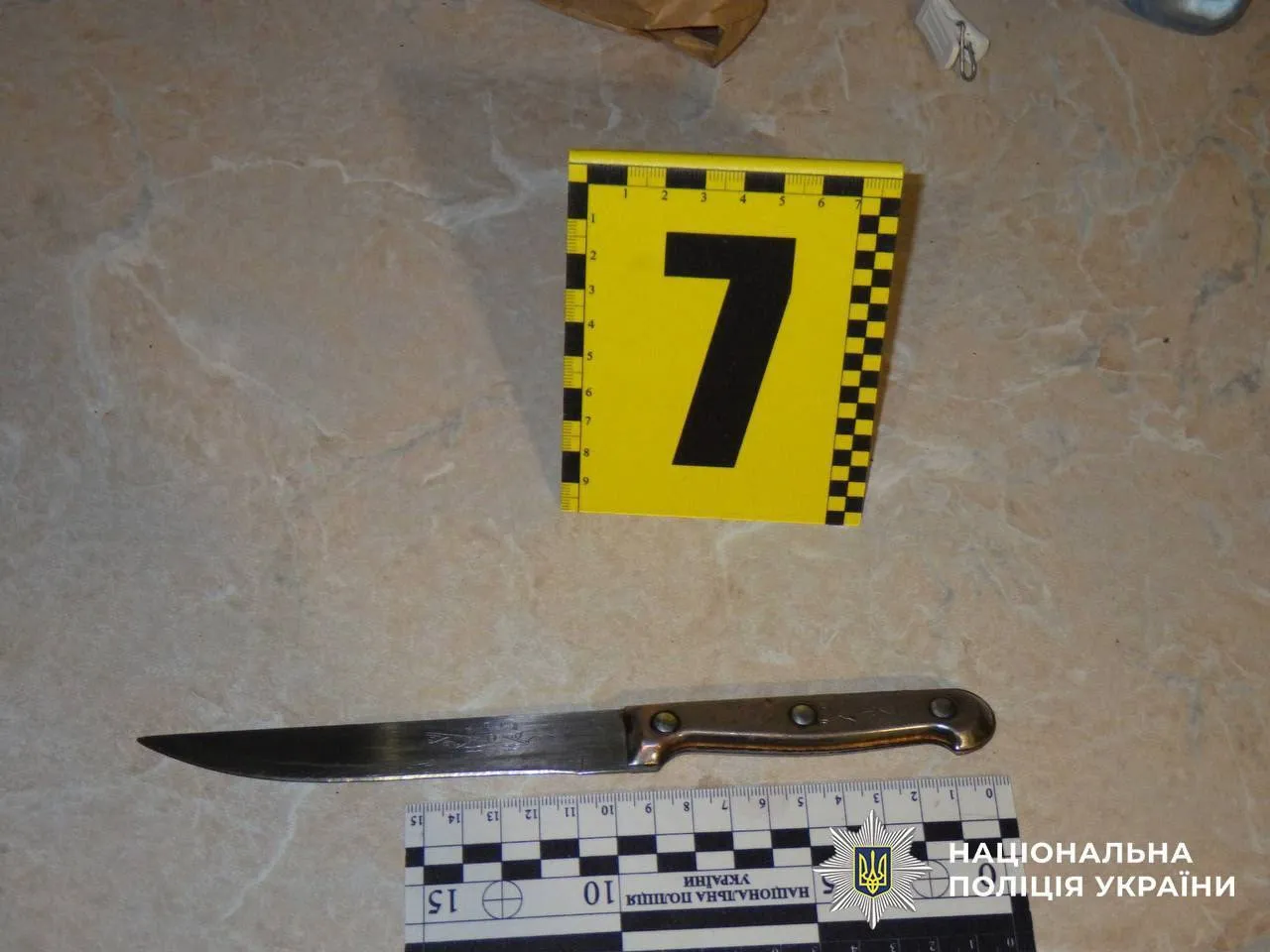 В Киеве семейная ссора завершилась жестоким убийством. Подробности дела и фото dqxikeidqxiqdhant