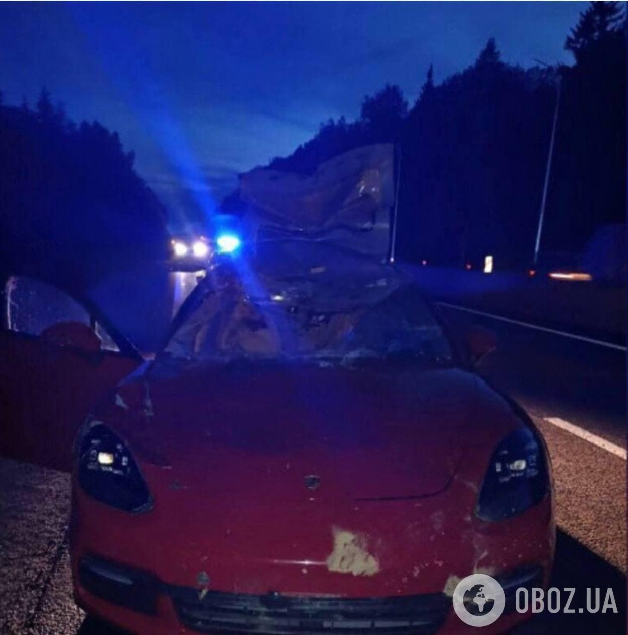 Лось влетів у лобове скло:  dqxikeidqxiqduant