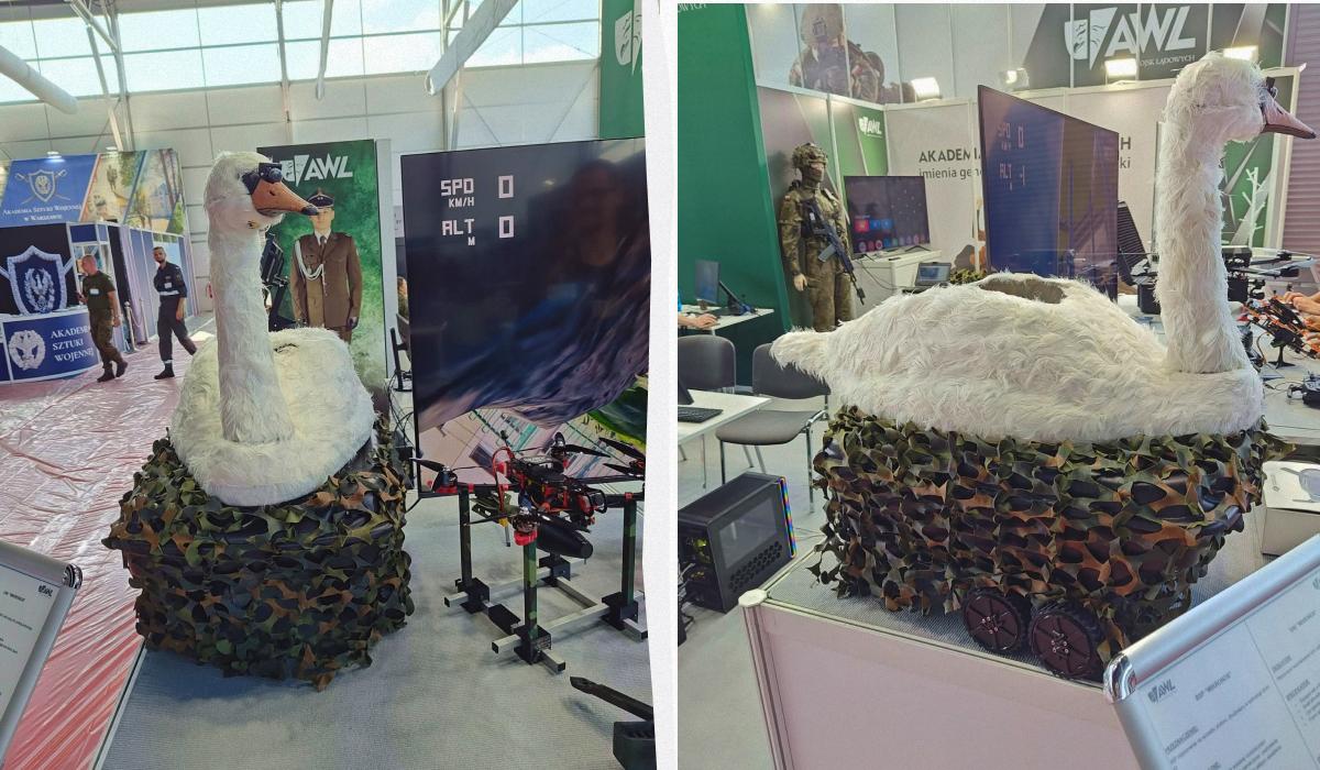 Польща створила dqxikeidqxidqrant