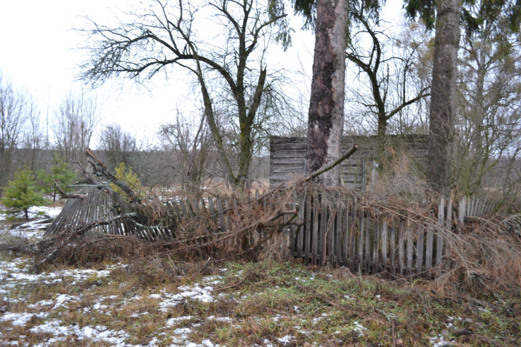 DSC_0186 dqxikeidqxidqeant