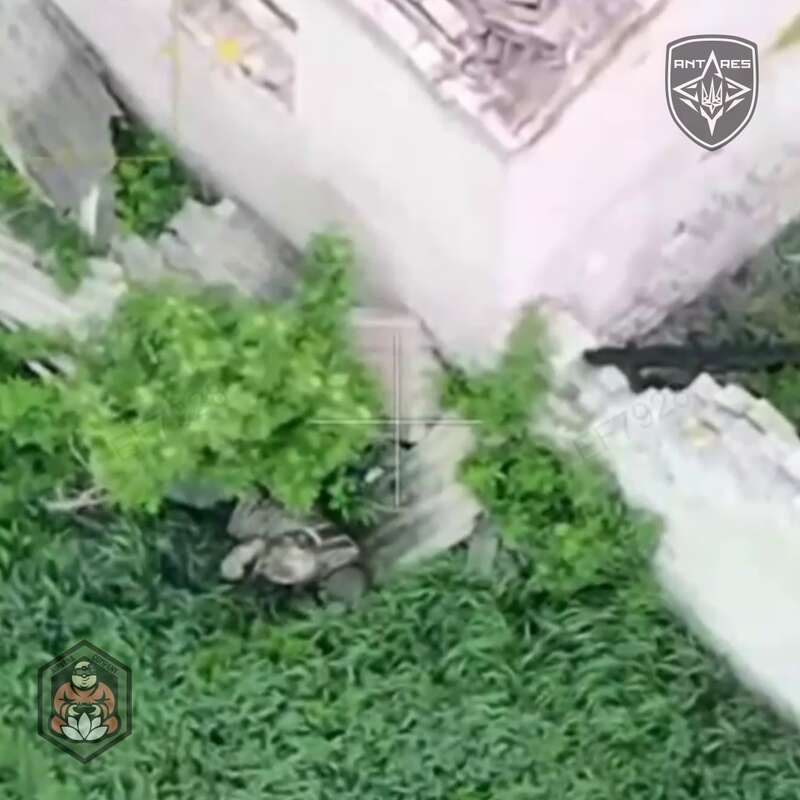 Ударный беспилотник Нацгвардии уничтожил российского военного. Видео dqxikeidqxidqrant