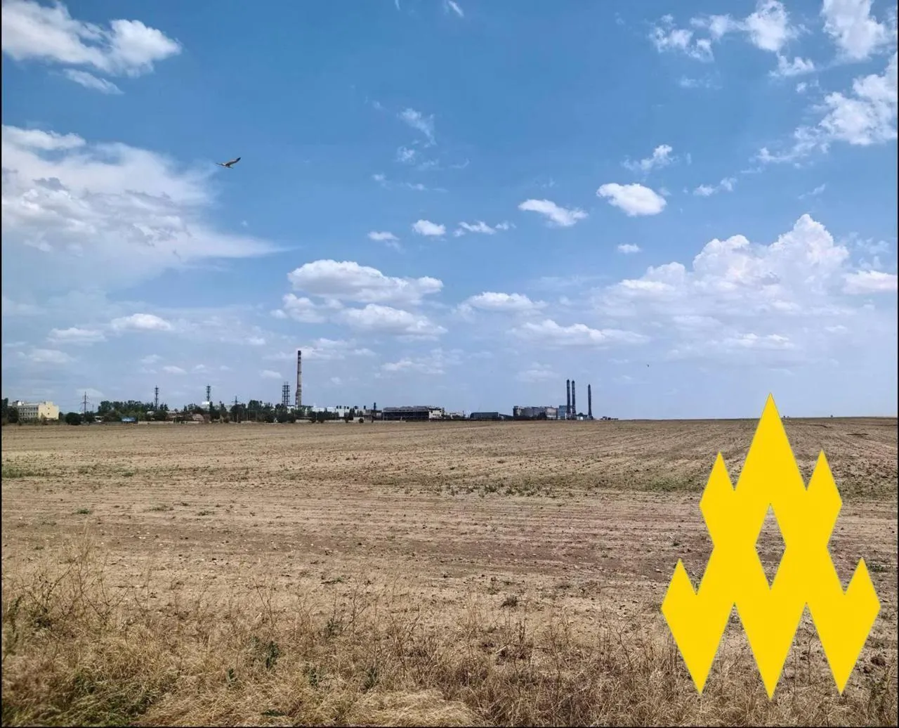 Ховають ППО в посадках: в dqxikeidqxiqzant