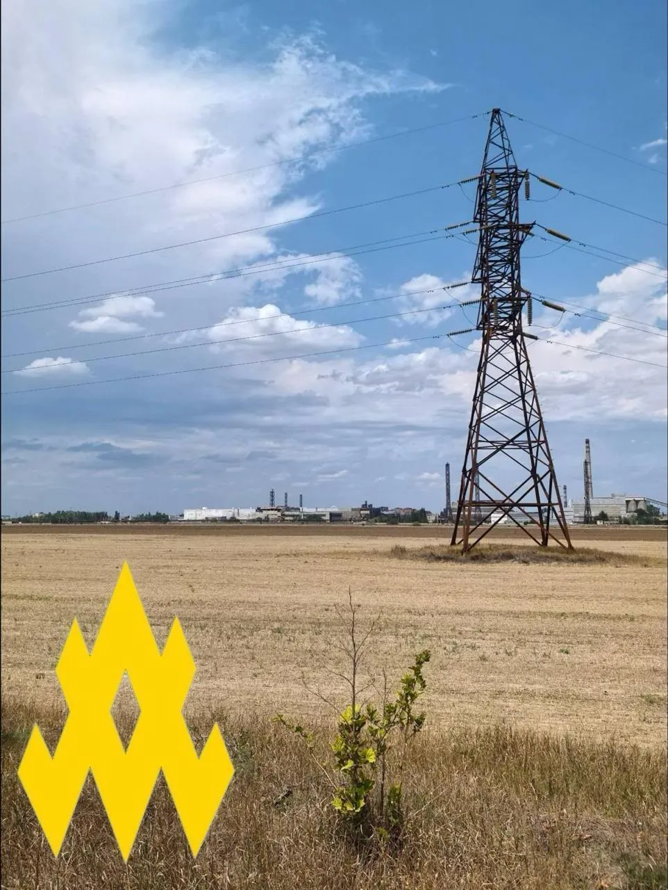 Ховають ППО в посадках: в