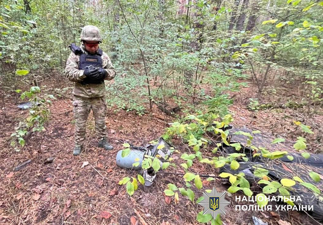    ""    () dqxikeidqxidqrant