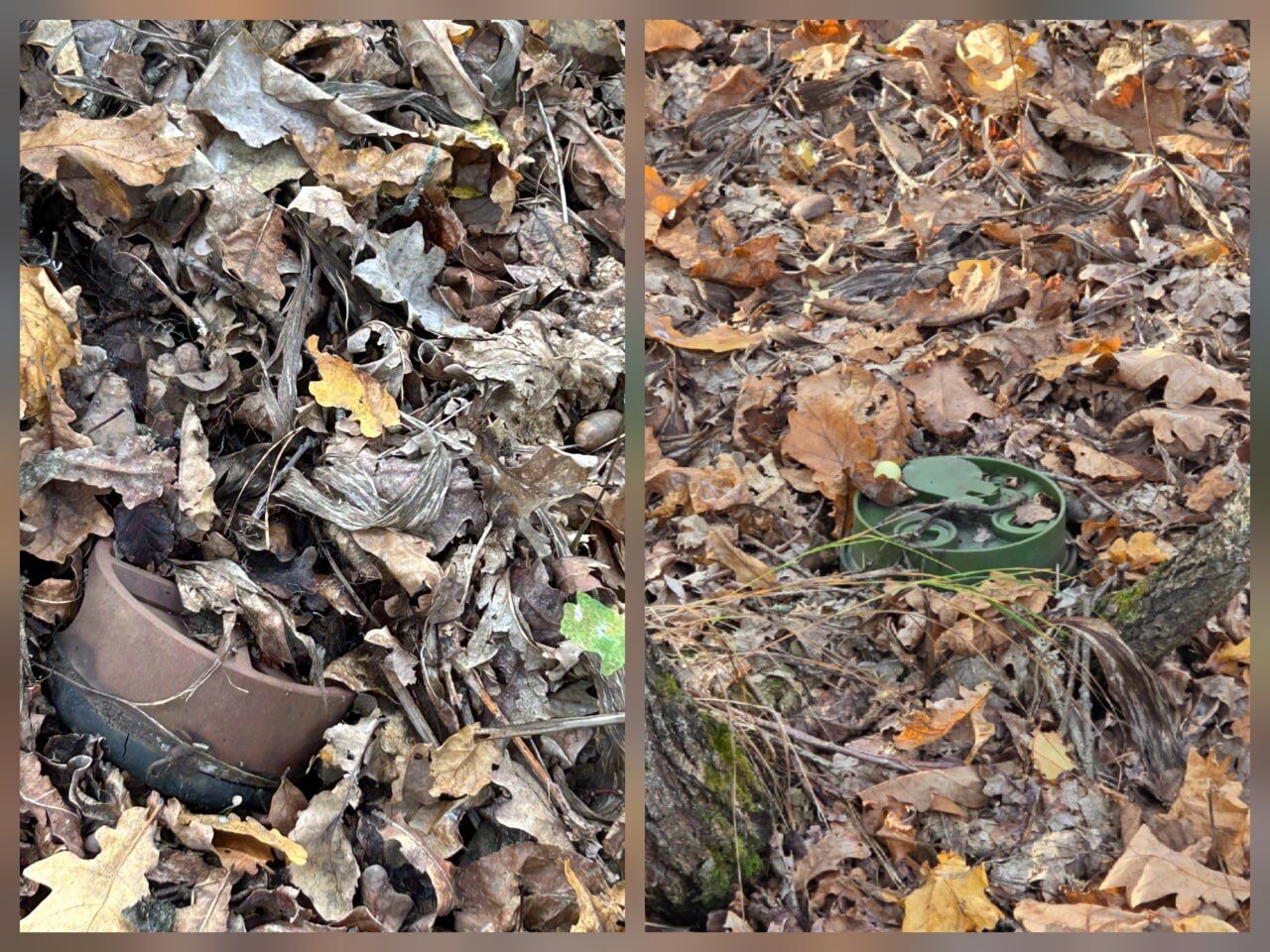 Під Києвом сапери знайшли кілька встановлених протипіхотних мін. Подробиці та фото dqxikeidqxiqqdant