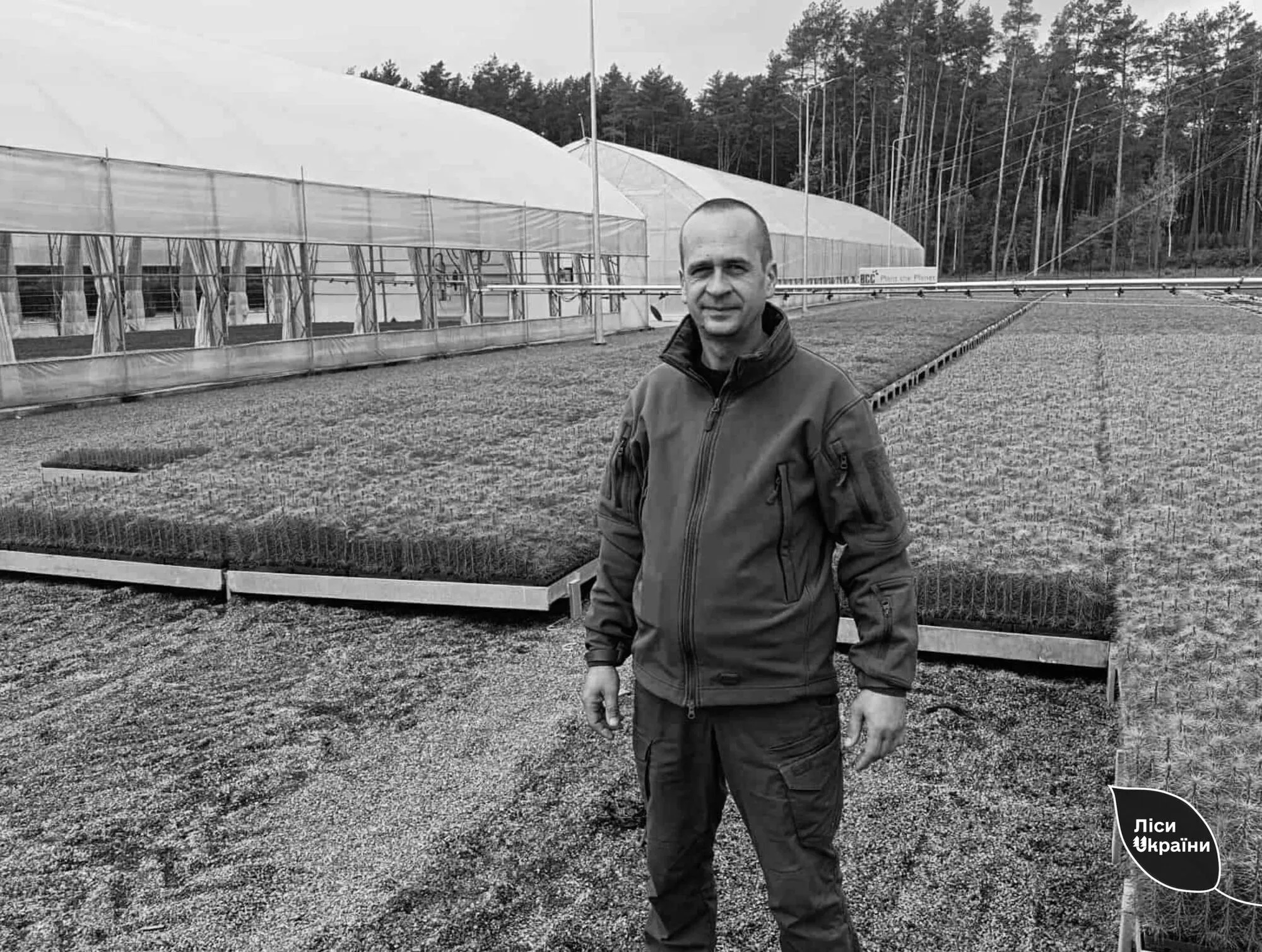 Працював на межі: від російського удару по Чернігівщині загинув інженер-лісівник. Фото dqxikeidqxidqeant