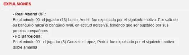 Воротар збірної України кинувся в бійку в матчі  dqxikeidqxiqqdant
