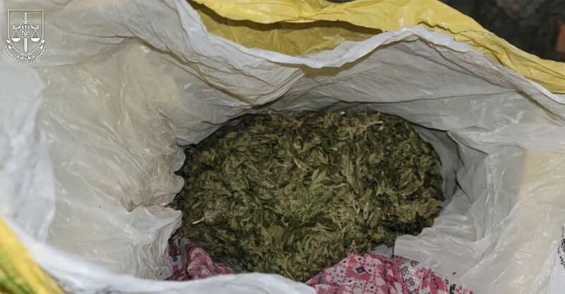 12 detained: A gang selling drugs and smuggling draft evaders to Romania exposed in Zakarpattia. Photos and video