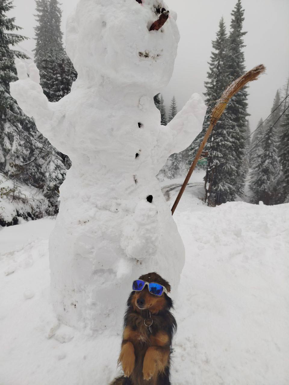 photo 2025 10 28 16 26 25 2 dqxikeidqxidqrant