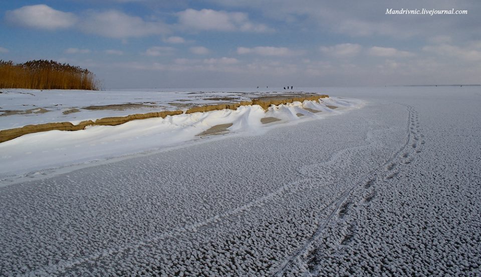 1656417_558380440997645_6303290584652778946_n