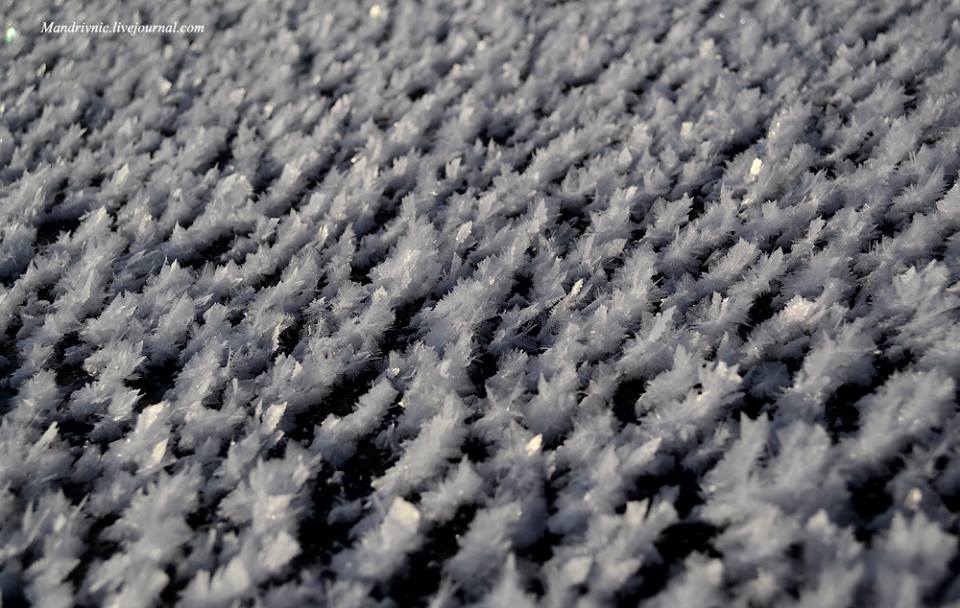 10606390_558380337664322_7159937951241597725_n dqxikeidqxidqrant